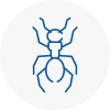 Ant Removals In Shanklin