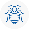 Bed Bug Extermination In Shanklin