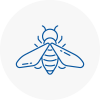 Bee Nest Removal Shanklin