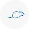Mice Exterminators In Shanklin