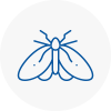 Moth Control Specialists In Shanklin