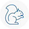 Shanklin Rodent Removals